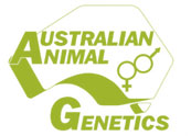 Australian Animal Genetics